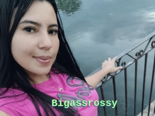Bigassrossy