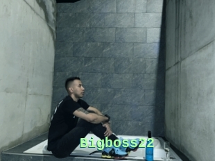 Bigboss22