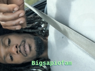 Bigsapiofam