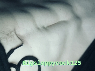 Bigsloppycock125