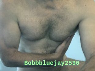 Bobbbluejay2530