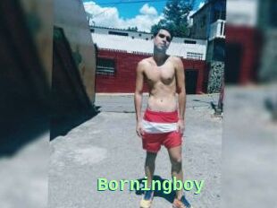 Borningboy
