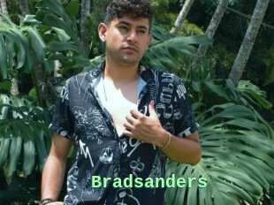 Bradsanders