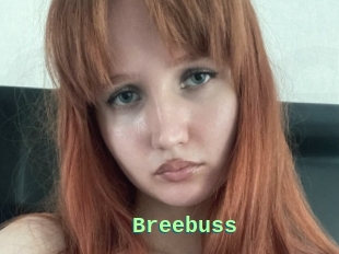 Breebuss