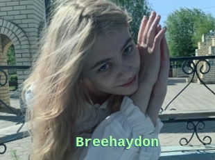 Breehaydon