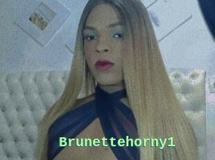 Brunettehorny1