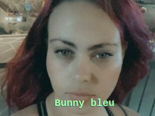 Bunny_bleu