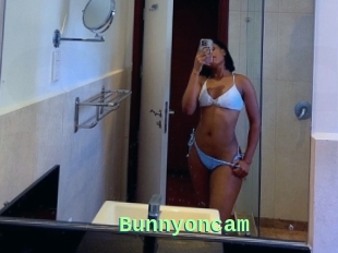 Bunnyoncam