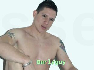 Burlyguy