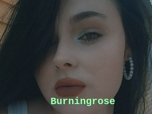 Burningrose