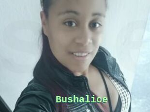Bushalice