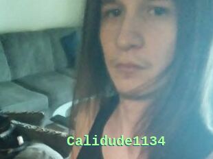 Calidude1134