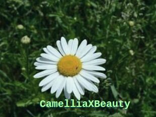 Camellia_XBeauty