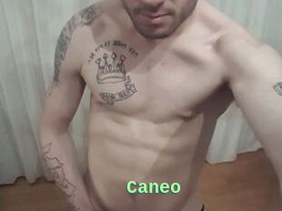Caneo