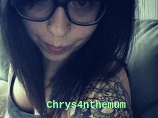 Chrys4nthemum