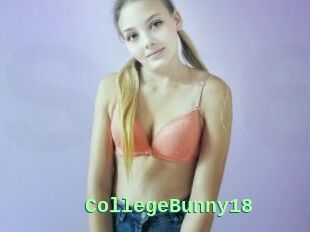 CollegeBunny18