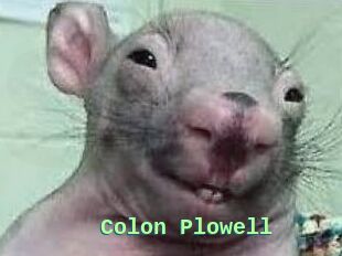 Colon_Plowell