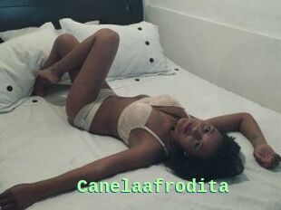 Canelaafrodita
