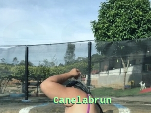 Canelabrun
