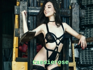 Cassierose