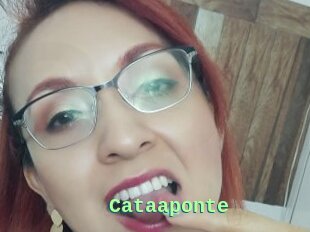 Cataaponte