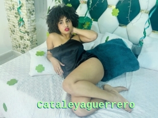 Cataleyaguerrero