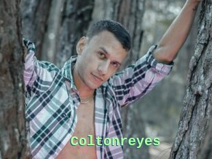 Coltonreyes