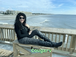 Cougarv