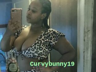 Curvybunny19