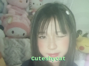 Cuteshycat