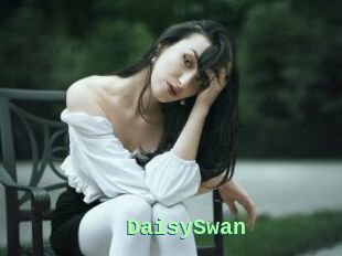 DaisySwan