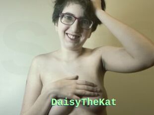 DaisyTheKat