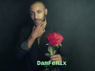 DamFenix