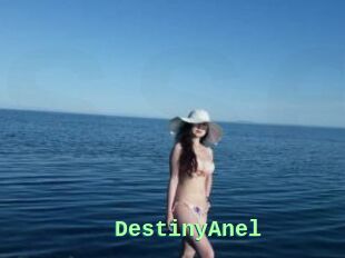 DestinyAnel