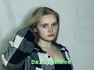 Daisygambee