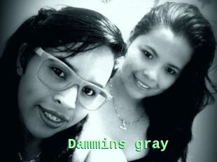 Dammins_gray