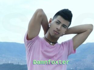 Damnfoxter