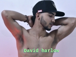 David_harlow