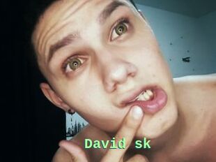 David_sk