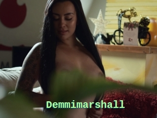 Demmimarshall