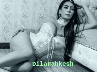 Dilarahkesh