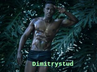 Dimitrystud