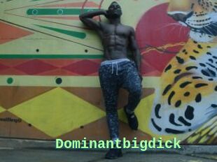 Dominantbigdick