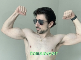 Domsawyer