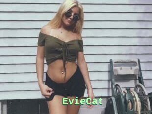 EvieCat