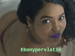 Ebonypervlatin