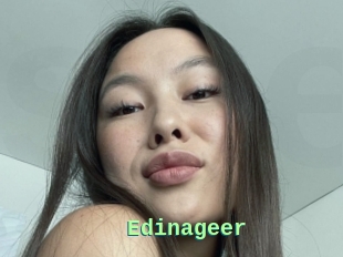 Edinageer