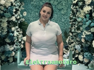 Elektraamotaro