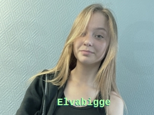 Elvabigge