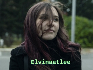 Elvinaatlee